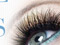 60% de rabais sur la pose de cils 60% de rabais sur la pose de cils